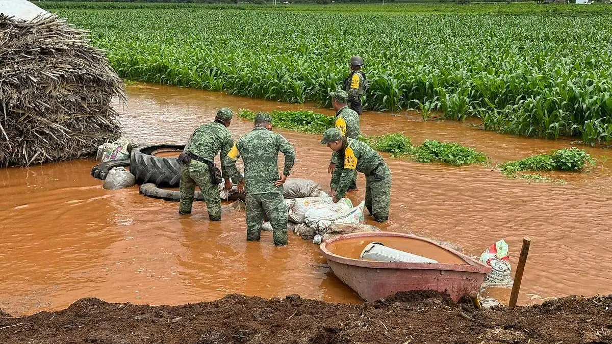 Sembradío inundado